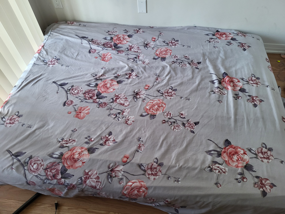 IKEA Haugesund Queen Mattress