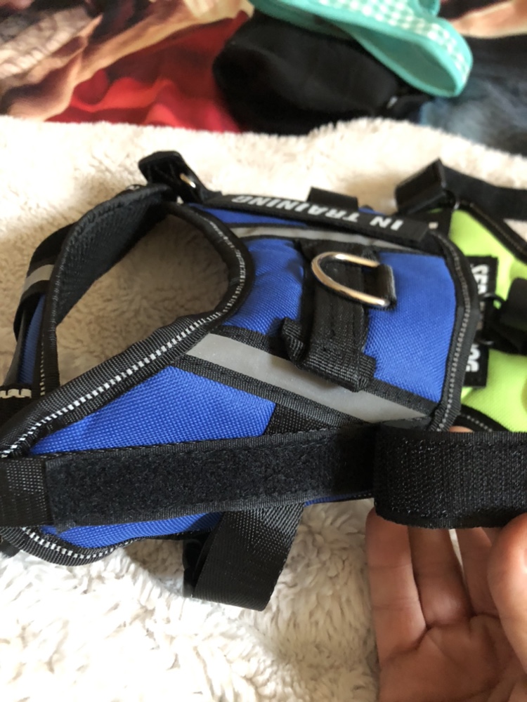 DOG SWEATERS AND HARNESSES - photo 3