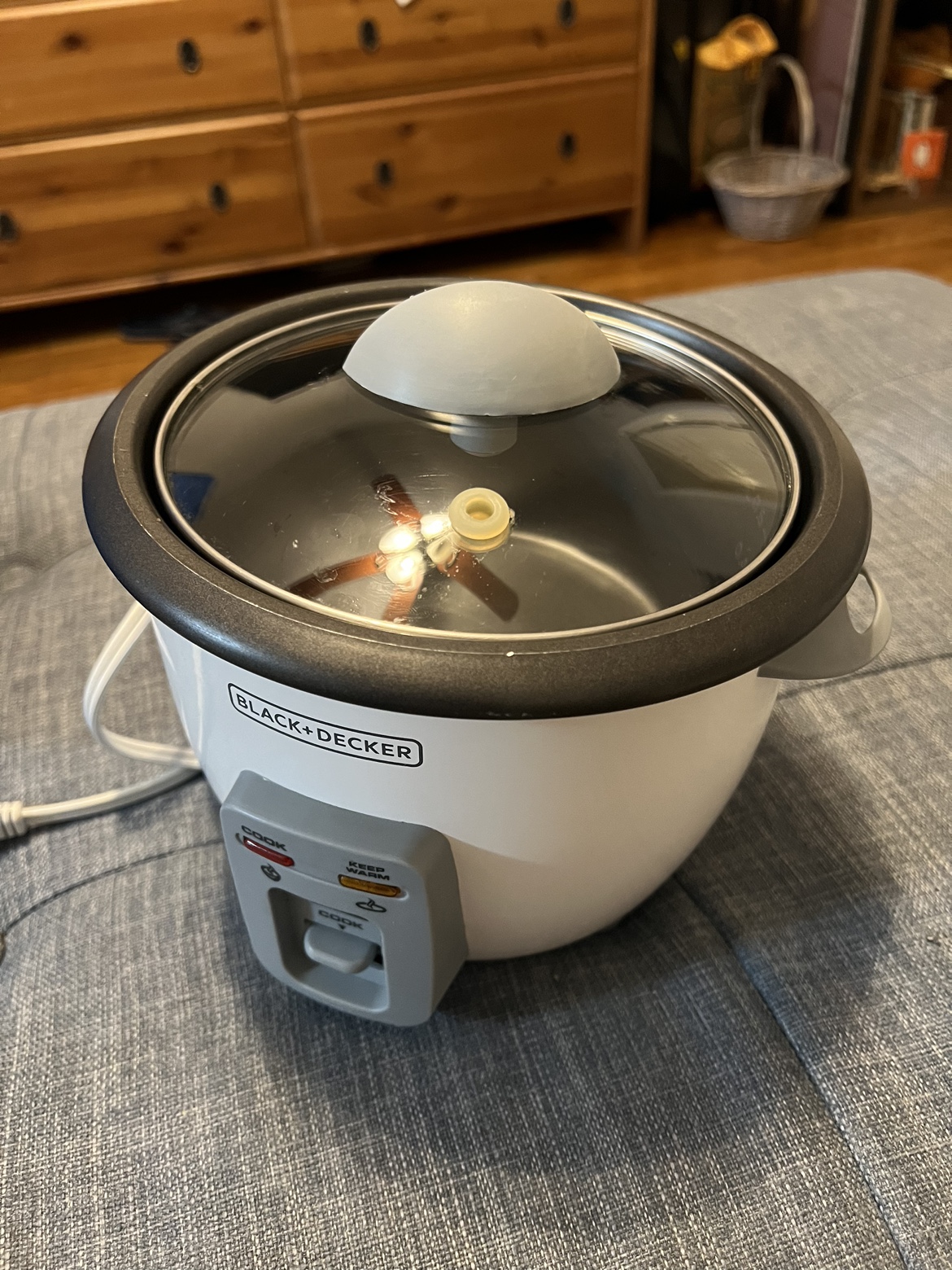 Rice Cooker and Steamer