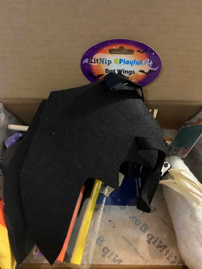 ‼️MUST-GO‼️ declutter - KitNipBox Halloween Cat Box image indicator(8)