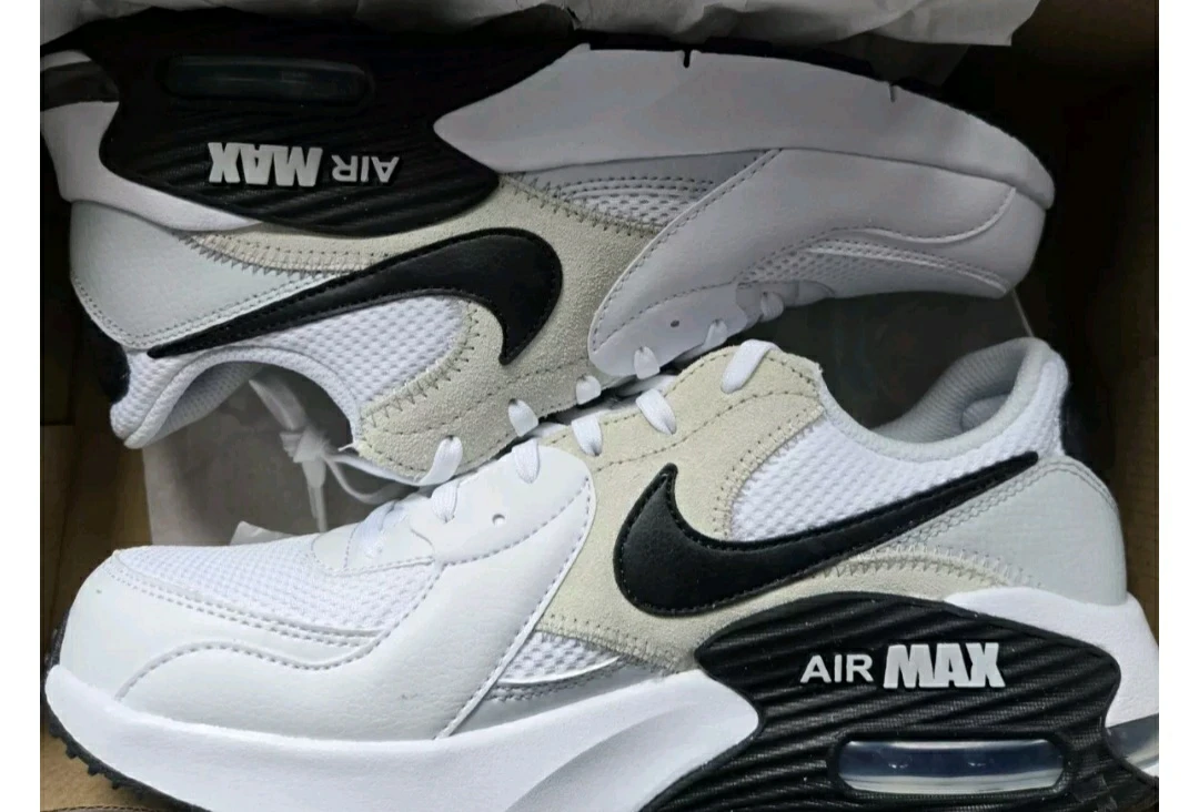 Nike Air Max Running Shoes