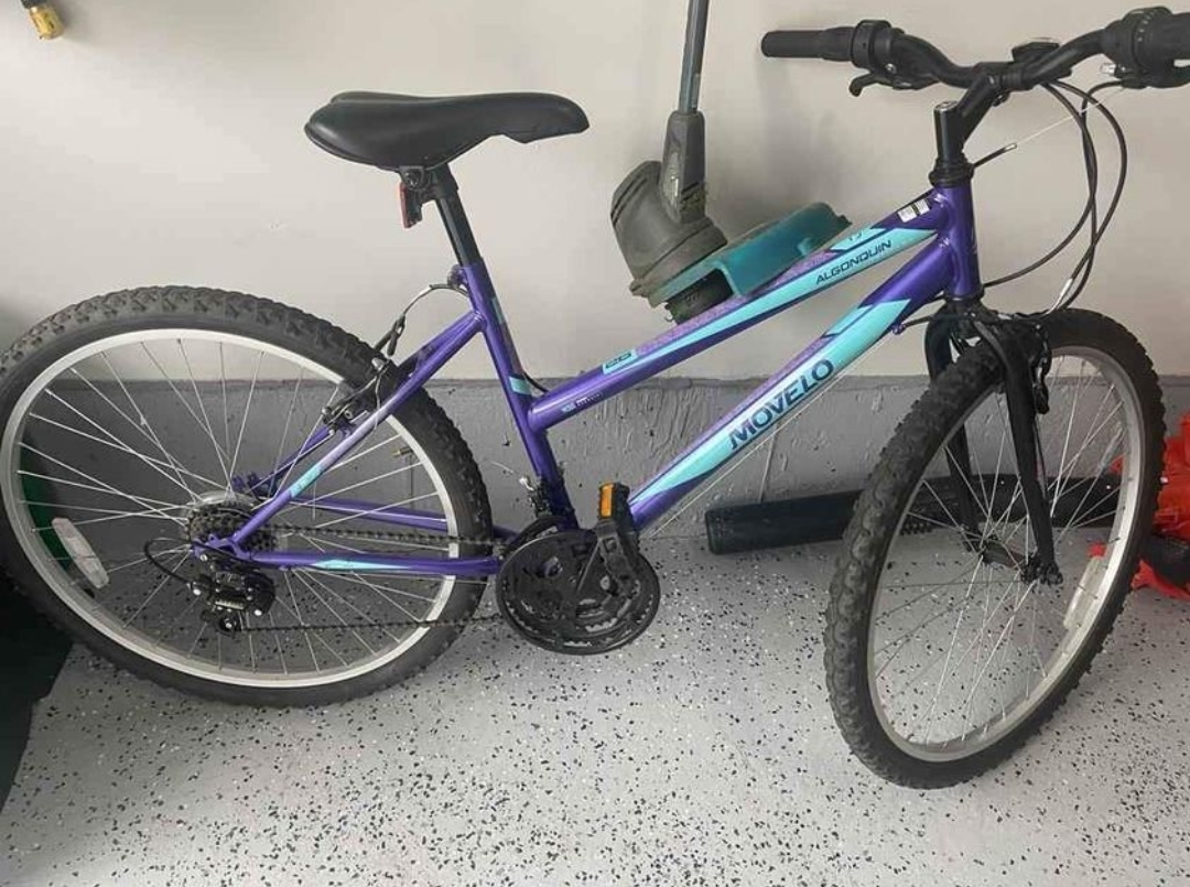 Movelo Algonquin Bike