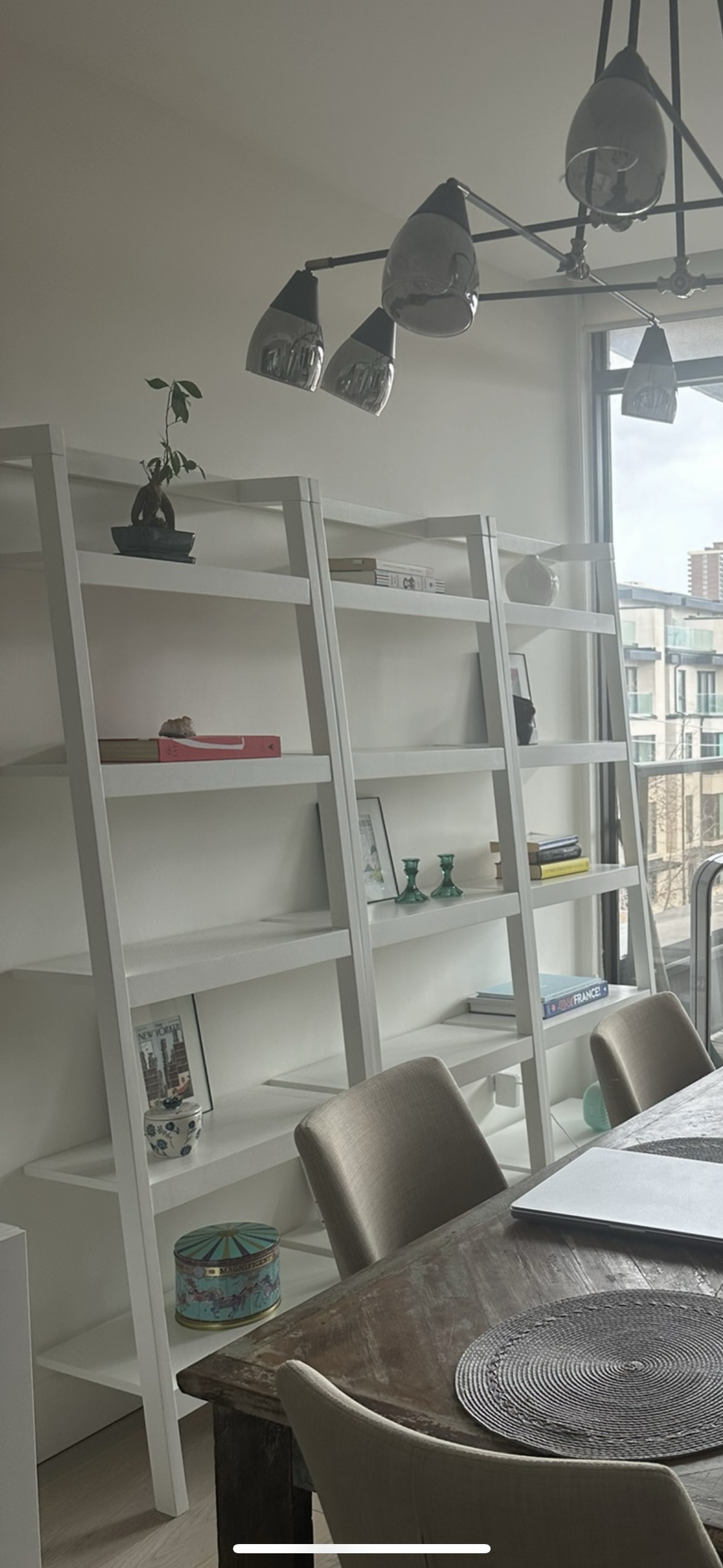 White Ladder Bookshelf (Crate and Barrel)