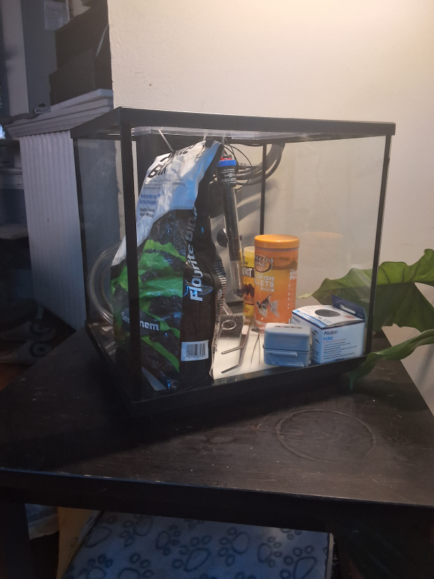 10 Gallon Aquarium Set Up
