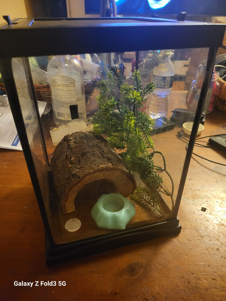 Small 12" x 8" Glass Pet Terrarium with Accessories