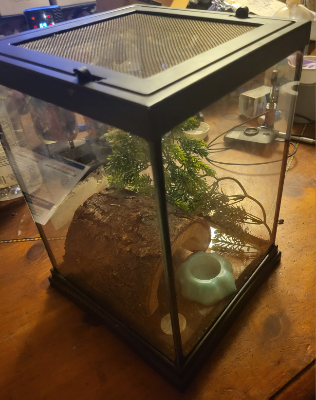 Small 12" x 8" Glass Pet Terrarium with Accessories - photo 2