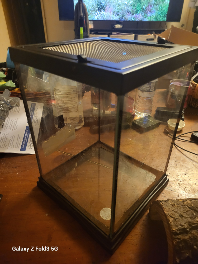 Small 12" x 8" Glass Pet Terrarium with Accessories - photo 3
