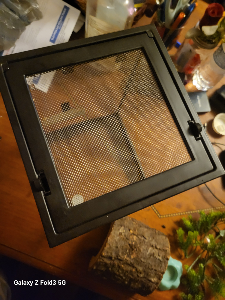 Small 12" x 8" Glass Pet Terrarium with Accessories - photo 4
