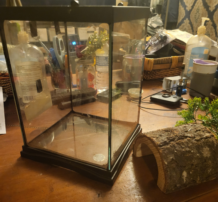 Small 12" x 8" Glass Pet Terrarium with Accessories - photo 5