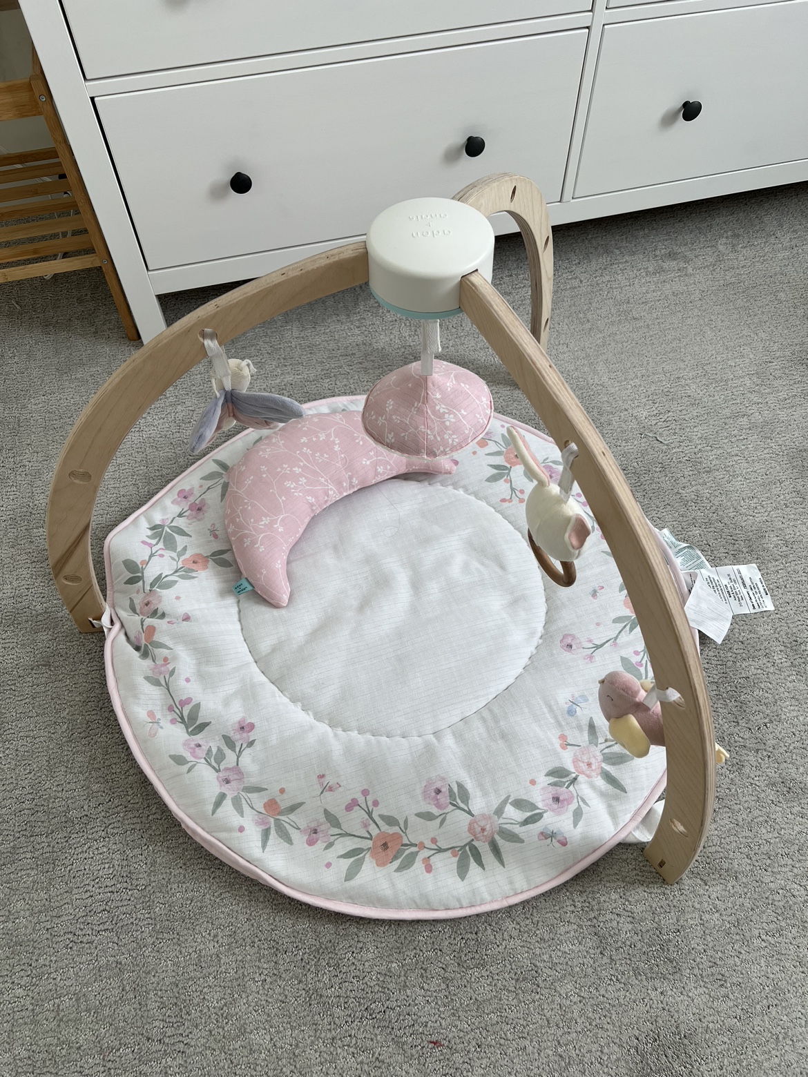 aden + anais baby play and discover activity gym
