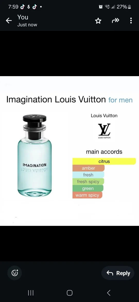 Louis Vuitton Imagination Men's Perfume image indicator(2)
