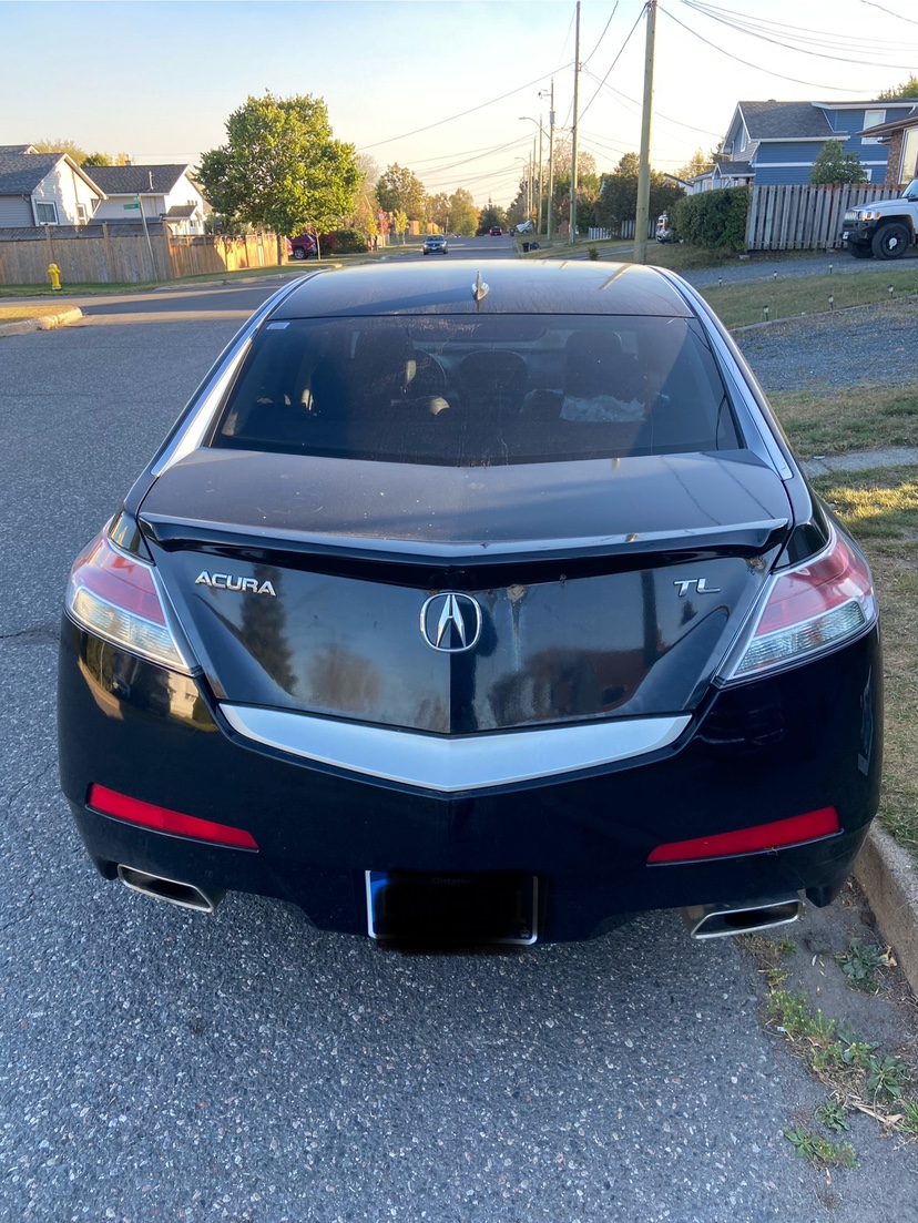 SAFETIED 2010 Acura TL - photo 3