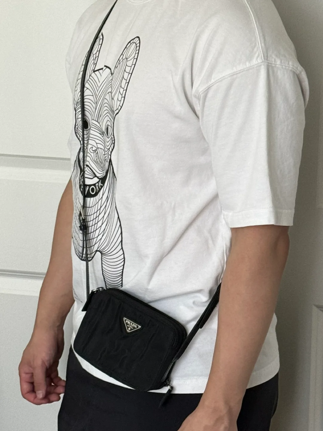 Prada Wallet on chain image indicator(8)