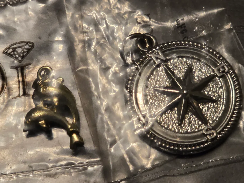 Assorted Charms and Ring image indicator(2)