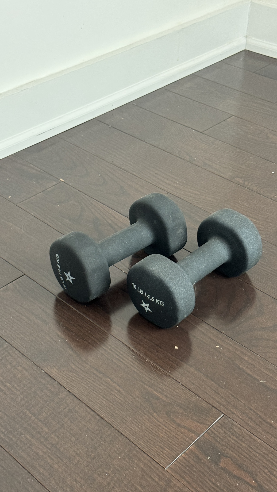 Two 10 lb Dumbbells - photo 4