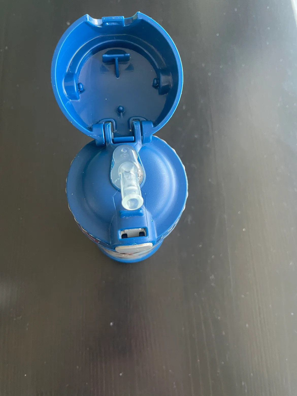 Thermos Stainless Steel Water Bottle image indicator(6)