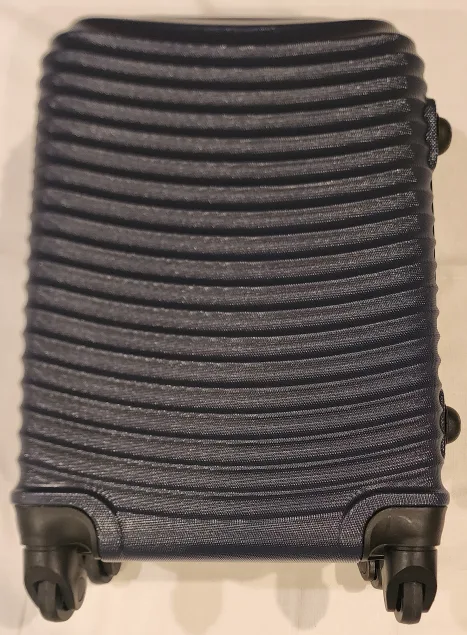 Palm Springs Suitcase thumbnail