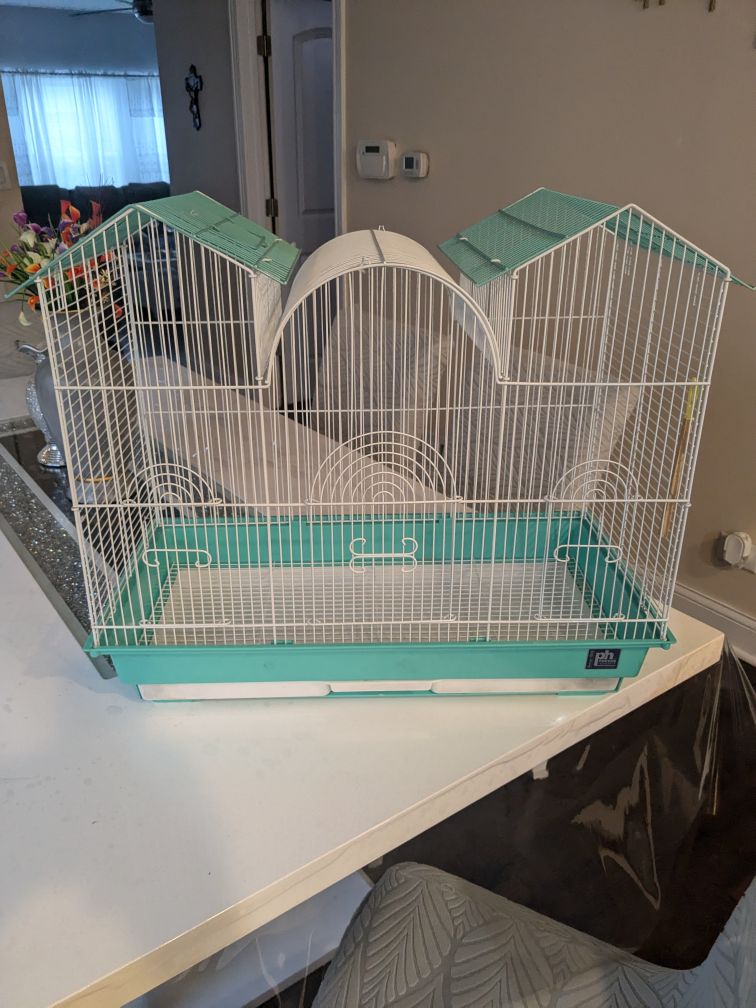 Bird Cage