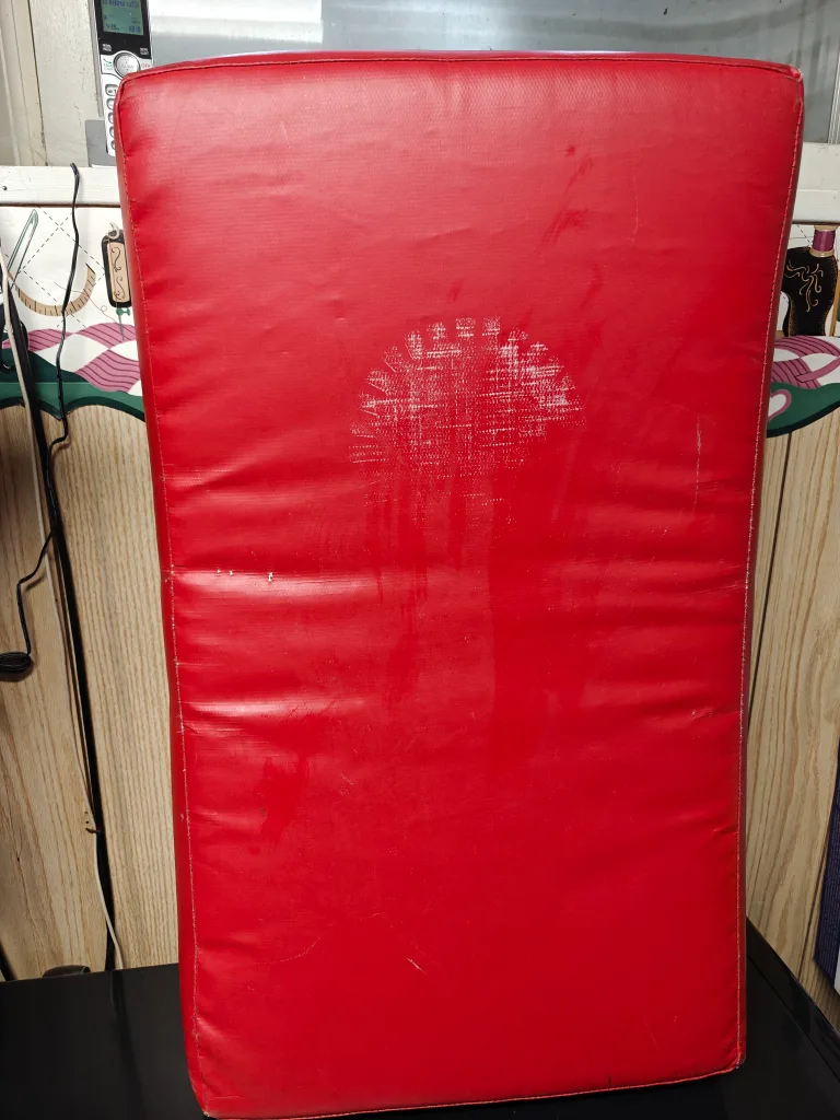 Kick Shield for Taekwondo thumbnail