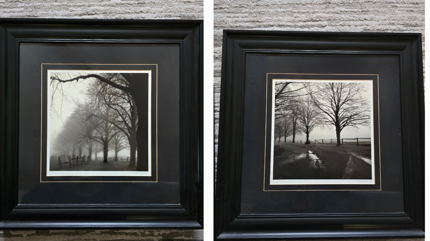 Set of 2 Framed Black and White Photograph