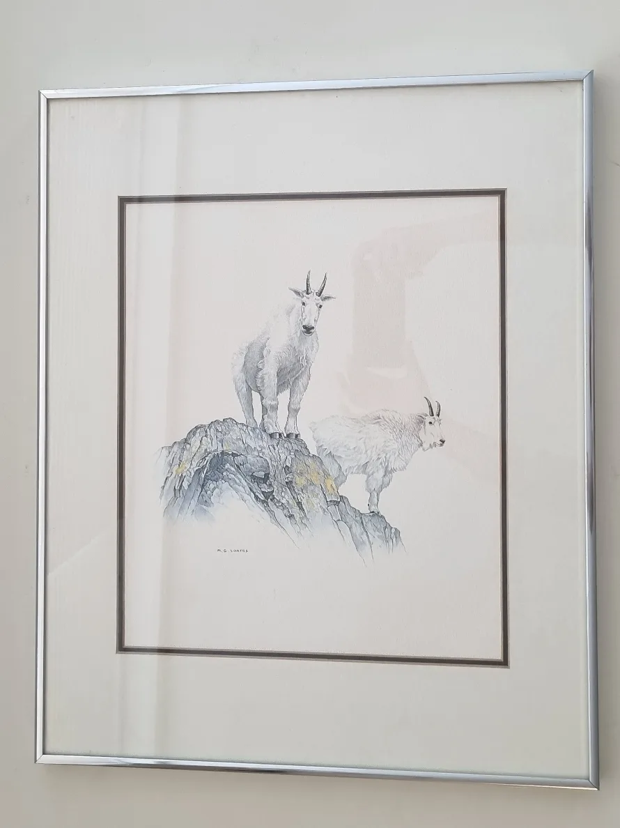 Wall Art Mountain Goats by M.G. Loates image indicator(3)