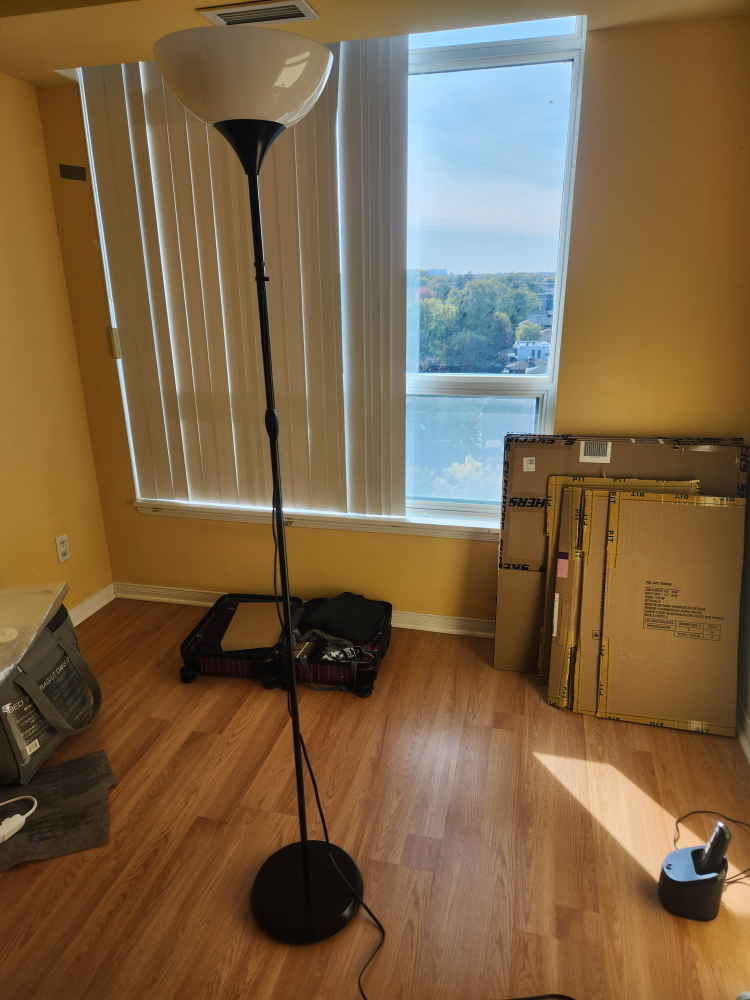 Floor lamp with white shade