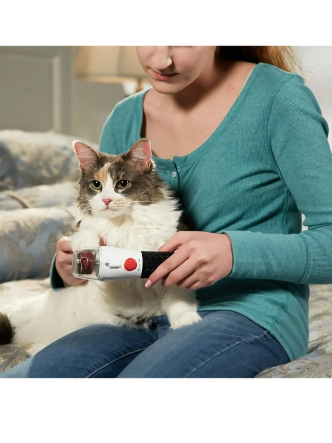 Rechargeable Pet Nail Rotating File image indicator(4)