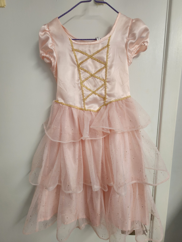 Size 5T Sleeping Beuty Costume