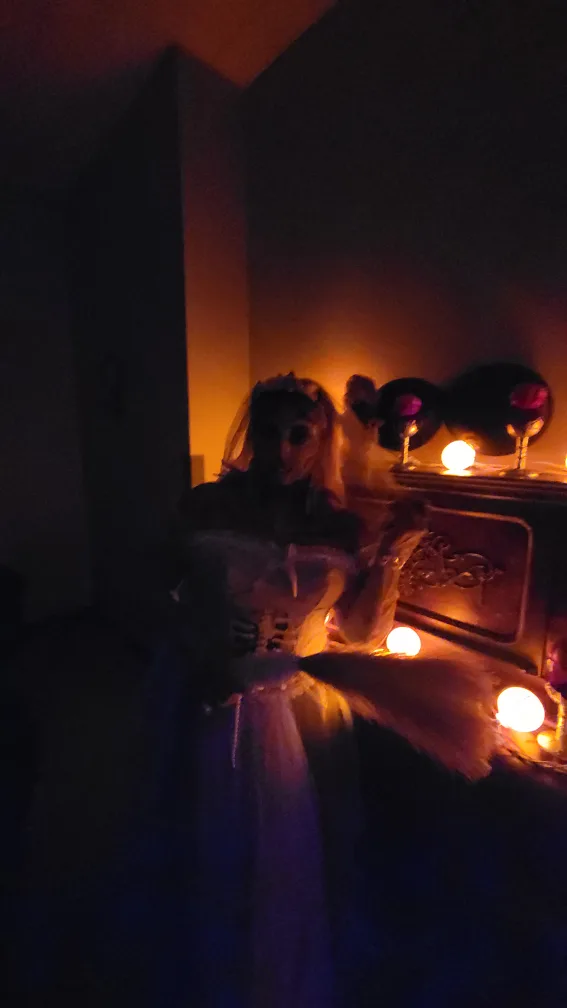 White Bridal Skeleton Costume image indicator(3)