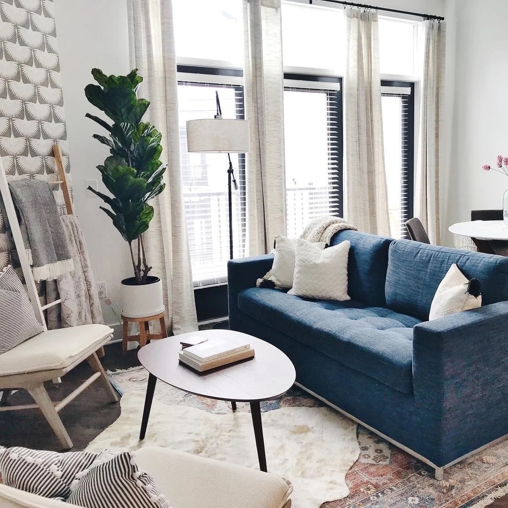 Article sofa bed