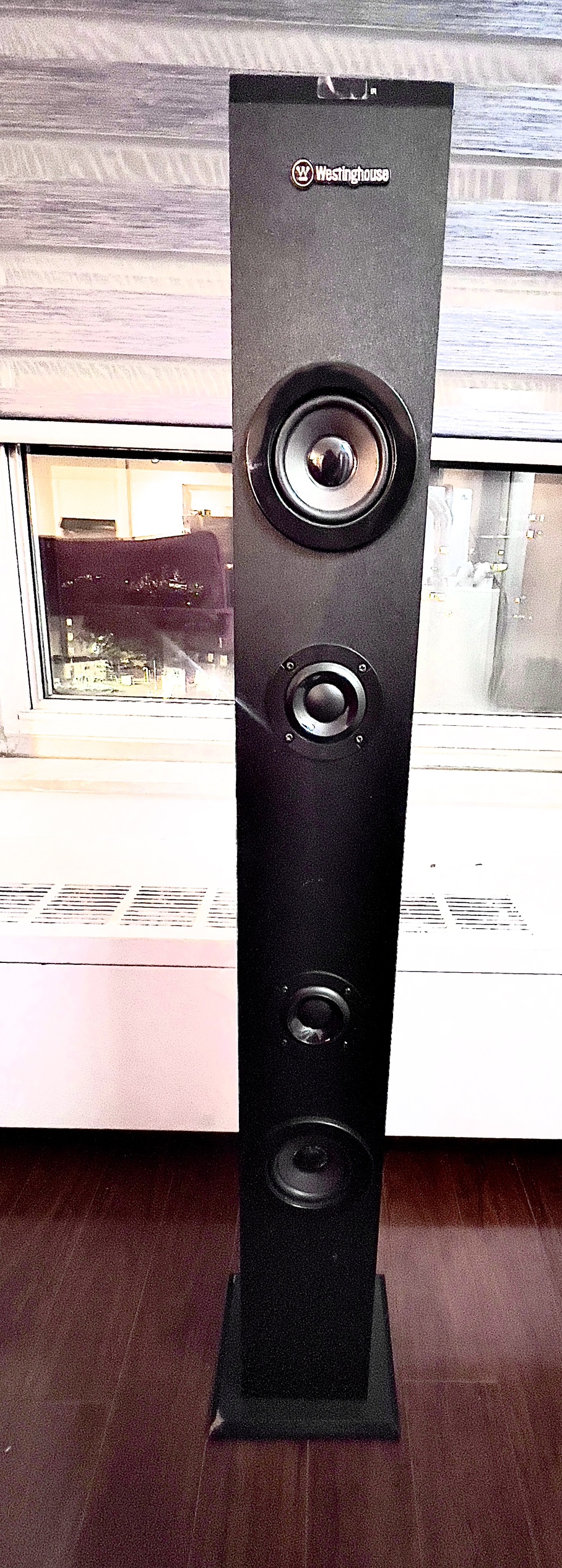 Westinghouse Speaker