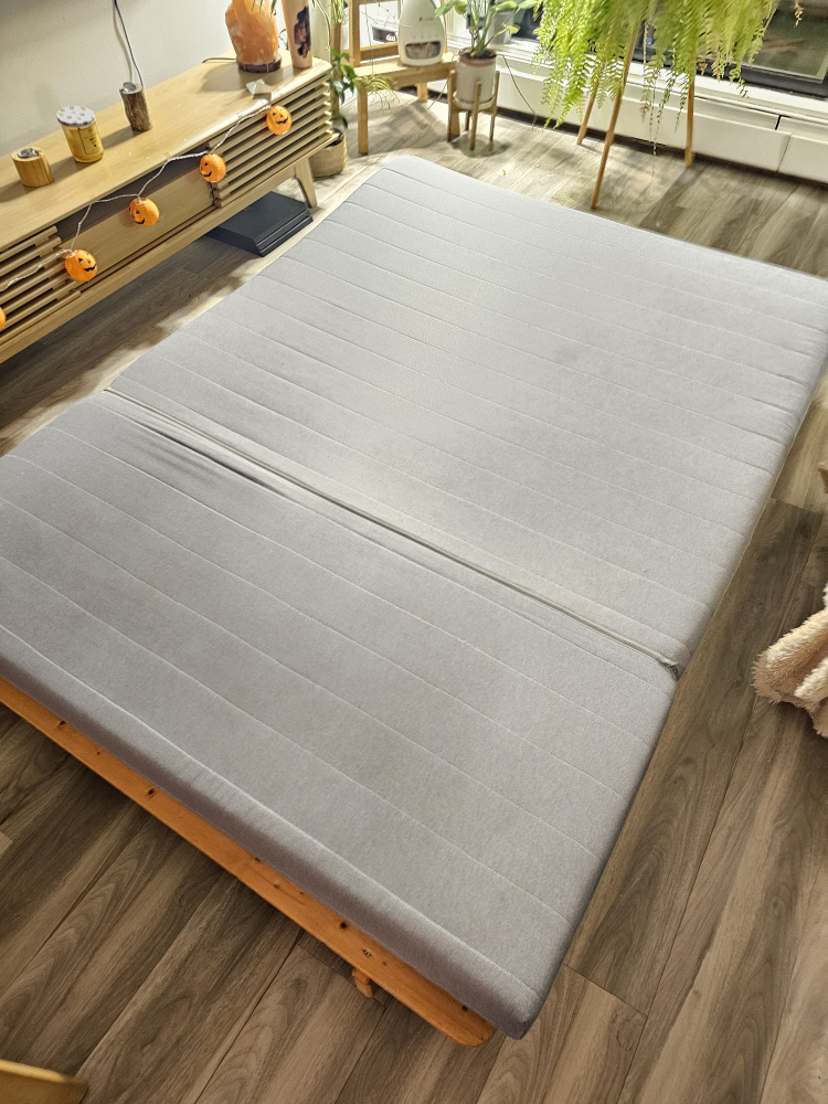 convertible couch/bed/futon