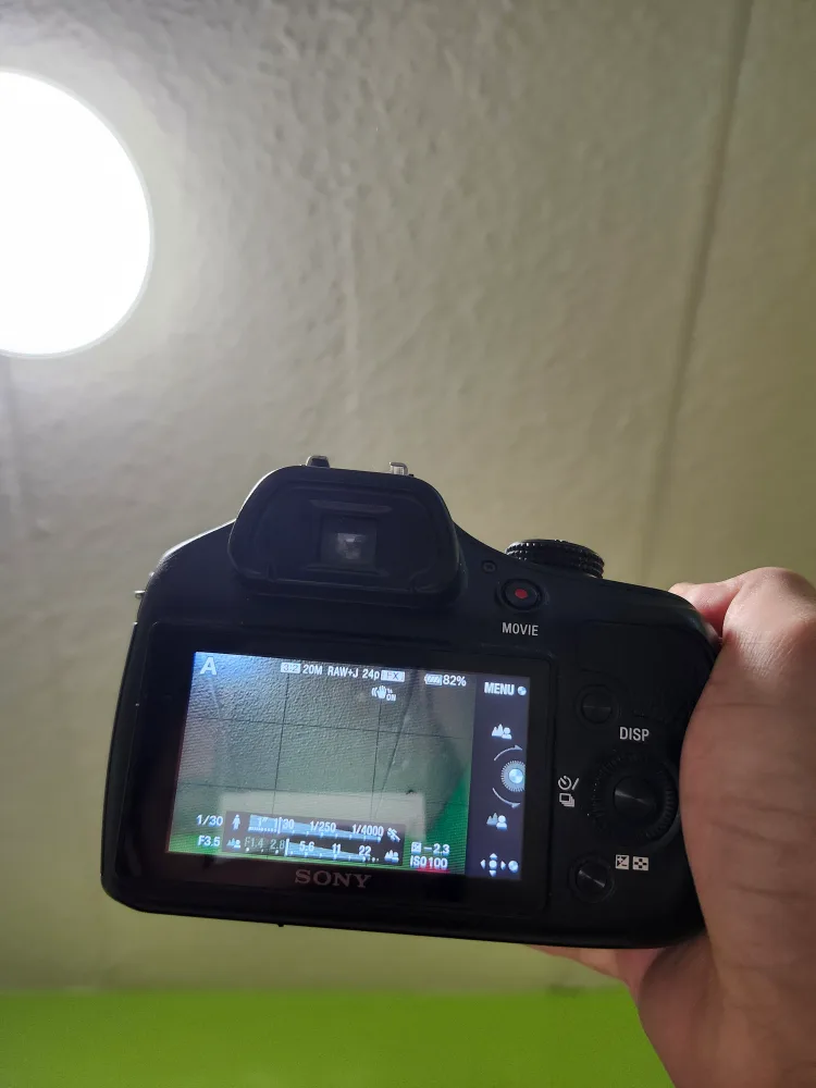 Sony Pro Camera image indicator(8)