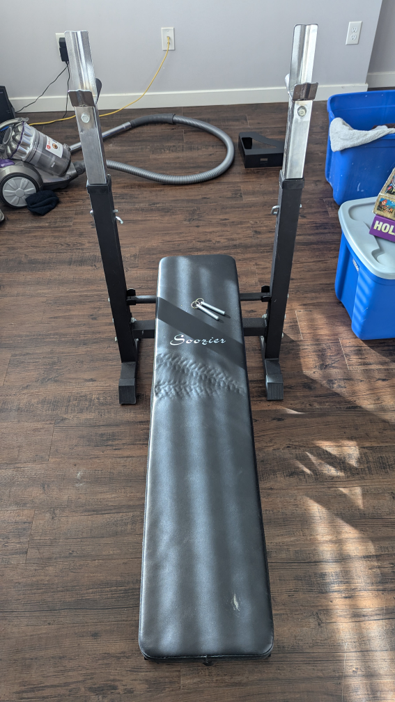 At Home Bench Press - photo 4