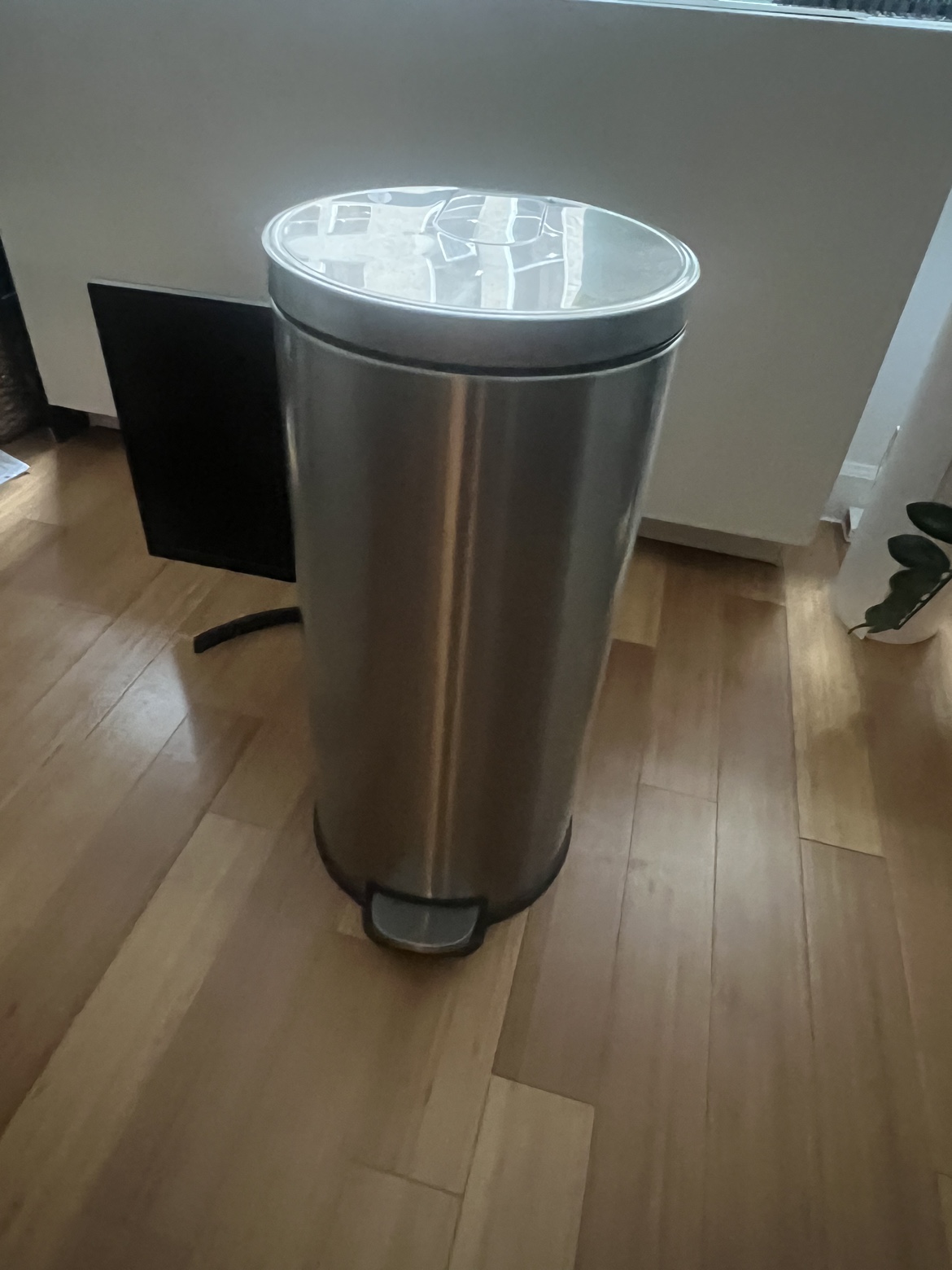 Simple Human 30L/8Gal Stainless Steel Trash Can - photo 3