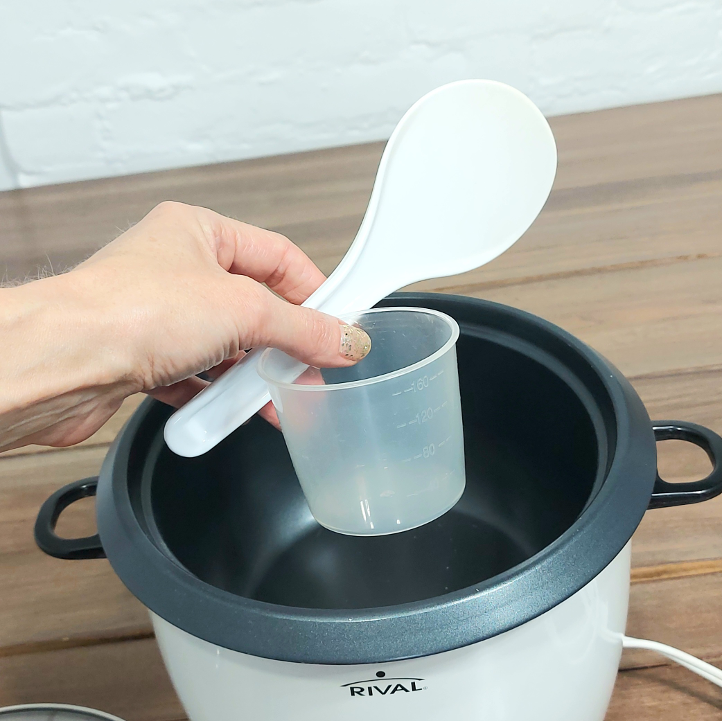 FREE Rival rice cooker! #freecycle - photo 3