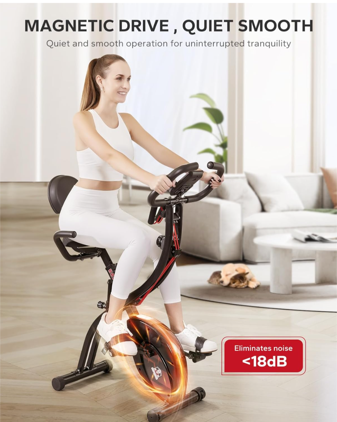 2 in 1 Indoor Workout Bicycle with multiple resistance levels