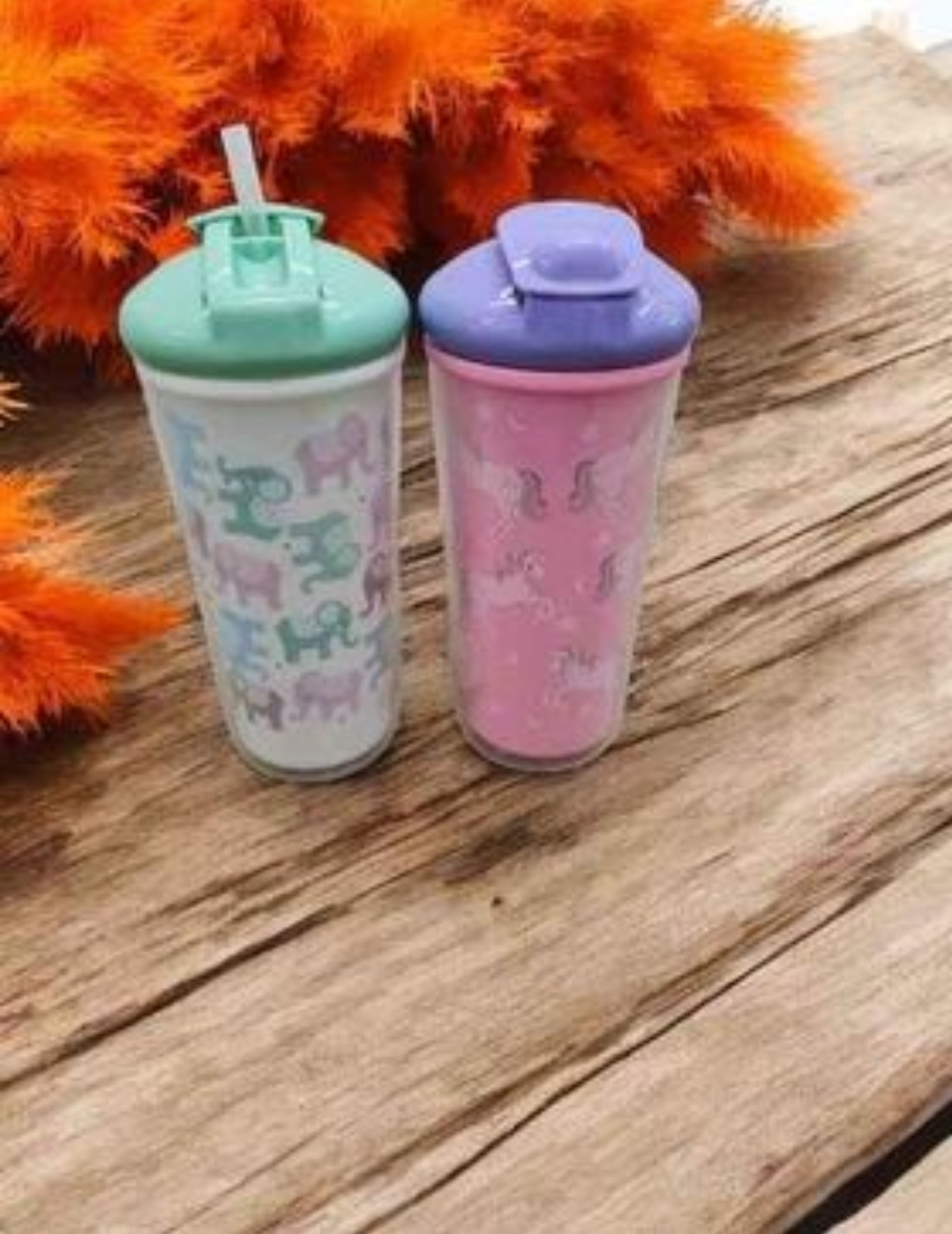 2pk Kids' Cups with Straws