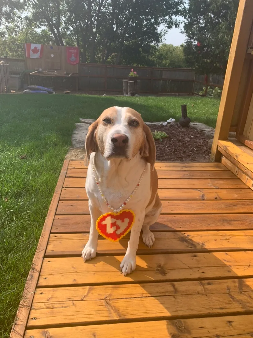 Perler Bead Keychains, earrings image indicator(10)