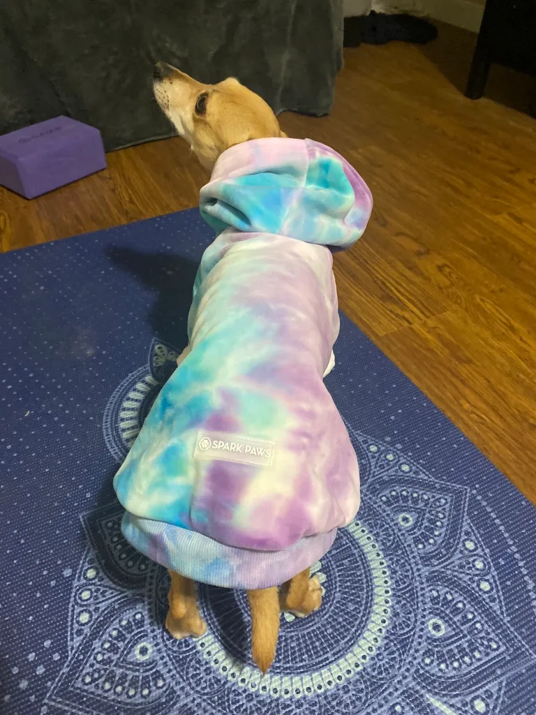 Spark Paws Tie Dye Dog Hoodie image indicator(6)