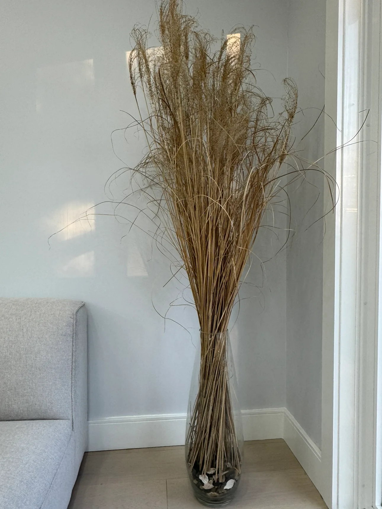 Dried Grass Arrangement in Vase thumbnail