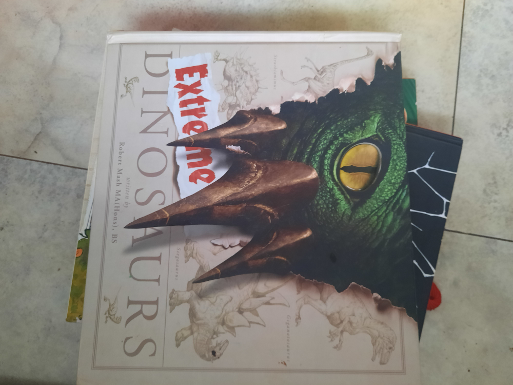 Children's Books and Games Bundle - photo 3