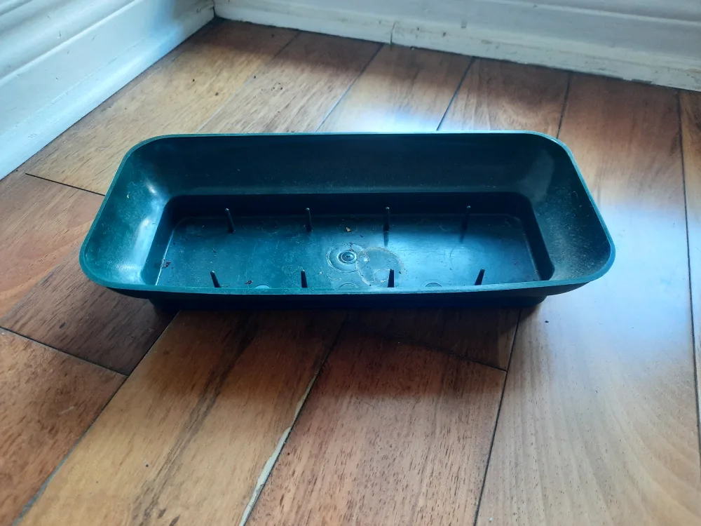 Free Plants + Pots image indicator(4)