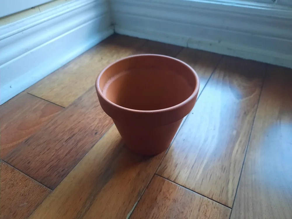 Free Plants + Pots image indicator(5)