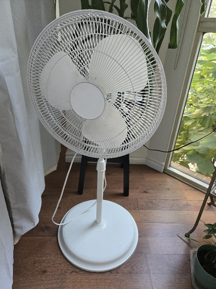 White Stand Fan