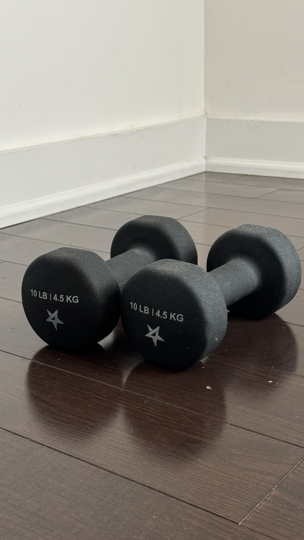 Two 10 lb Dumbbells - photo 2