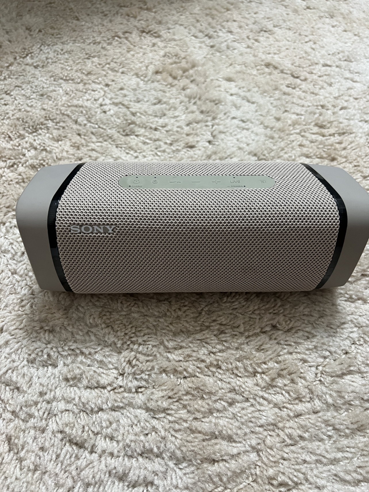 Sony SRS-XB31 Bluetooth Speaker