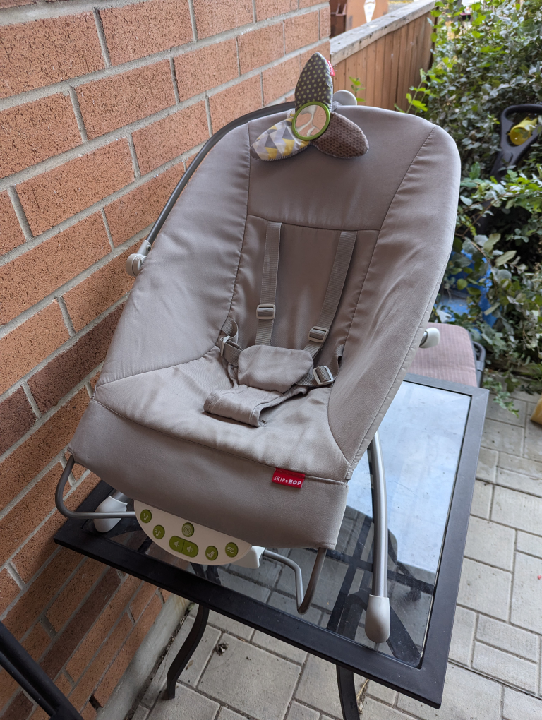 Skip Hop Bouncer #freecycle