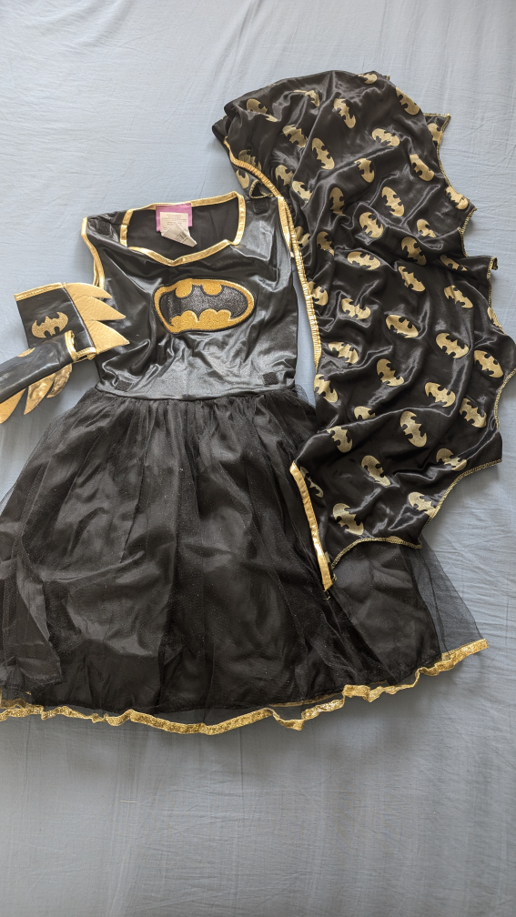 Batgirl Costume