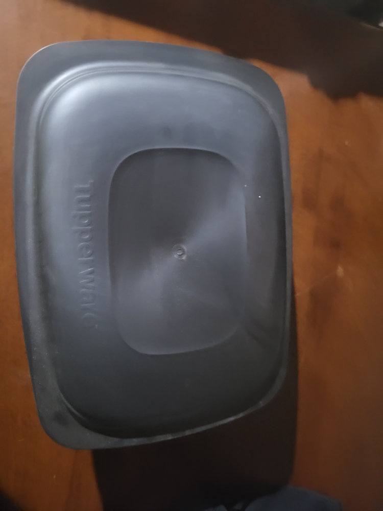 Tupperware Roasting Pan